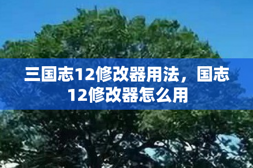 三国志12修改器用法,国志12修改器怎么用 三国志12修改器用法,国志12修改器怎么用