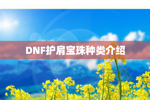 DNF护肩宝珠种类介绍 DNF护肩宝珠种类介绍