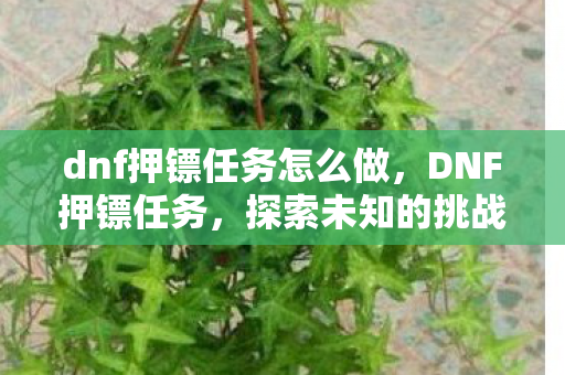 dnf押镖任务怎么做,DNF押镖任务,探索未知的挑战与奖励 dnf押镖任务怎么做,DNF押镖任务,探索未知的挑战与奖励