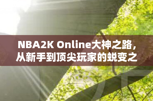 NBA2K Online大神之路,从新手到顶尖玩家的蜕变之旅 NBA2K Online大神之路,从新手到顶尖玩家的蜕变之旅