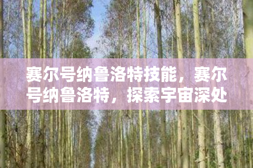 赛尔号纳鲁洛特技能，赛尔号纳鲁洛特，探索宇宙深处的神秘力量