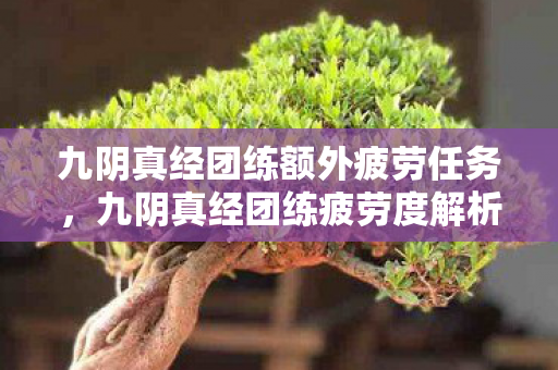 九阴真经团练额外疲劳任务,九阴真经团练疲劳度解析,如何高效利用游戏资源 九阴真经团练额外疲劳任务,九阴真经团练疲劳度解析,如何高效利用游戏资源