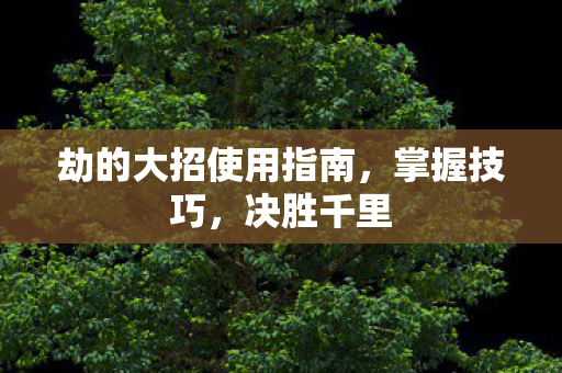 劫的大招使用指南,掌握技巧,决胜千里 劫的大招使用指南,掌握技巧,决胜千里