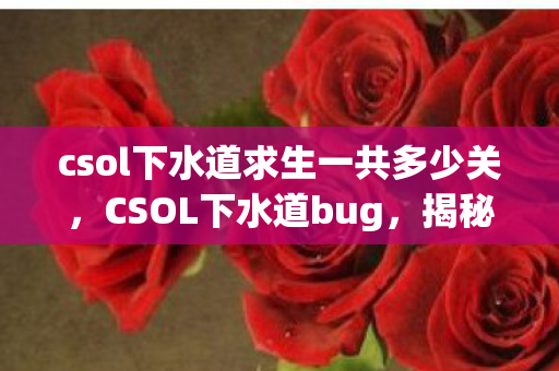 csol下水道求生一共多少关,CSOL下水道bug,揭秘游戏隐藏漏洞与玩家应对之道 csol下水道求生一共多少关,CSOL下水道bug,揭秘游戏隐藏漏洞与玩家应对之道
