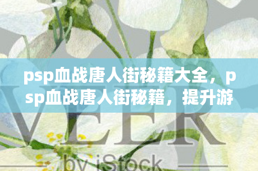 psp血战唐人街秘籍大全,psp血战唐人街秘籍,提升游戏技巧与策略 psp血战唐人街秘籍大全,psp血战唐人街秘籍,提升游戏技巧与策略