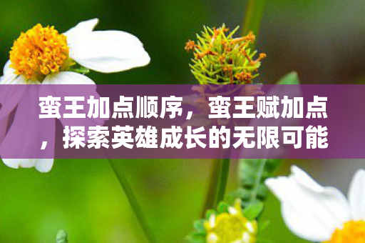 蛮王加点顺序,蛮王赋加点,探索英雄成长的无限可能 蛮王加点顺序,蛮王赋加点,探索英雄成长的无限可能