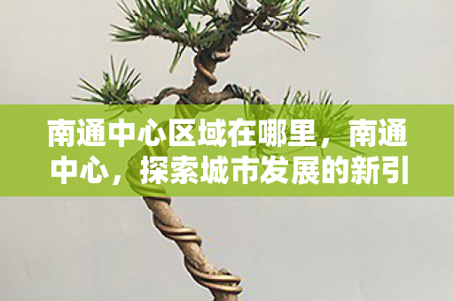 南通中心区域在哪里，南通中心，探索城市发展的新引擎