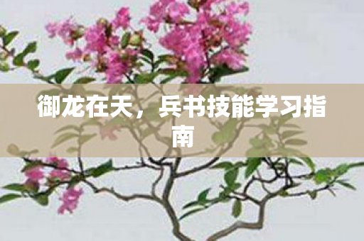 御龙在天，兵书技能学习指南