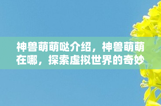 神兽萌萌哒介绍，神兽萌萌在哪，探索虚拟世界的奇妙之旅