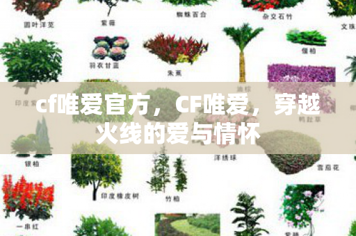 cf唯爱官方，CF唯爱，穿越火线的爱与情怀