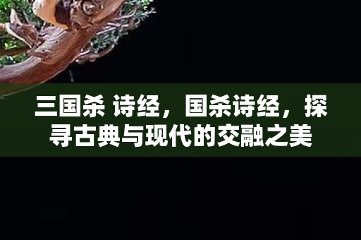 三国杀 诗经,国杀诗经,探寻古典与现代的交融之美 三国杀 诗经,国杀诗经,探寻古典与现代的交融之美