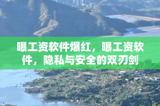曝工资软件爆红,曝工资软件,隐私与安全的双刃剑 曝工资软件爆红,曝工资软件,隐私与安全的双刃剑