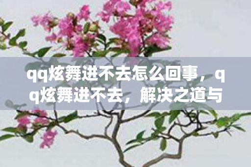qq炫舞进不去怎么回事,qq炫舞进不去,解决之道与游戏环境维护 qq炫舞进不去怎么回事,qq炫舞进不去,解决之道与游戏环境维护