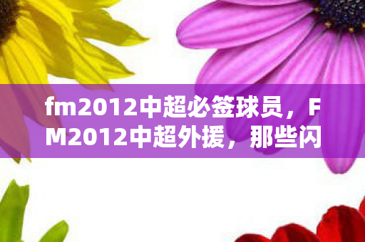 fm2012中超必签球员，FM2012中超外援，那些闪耀的外籍球星