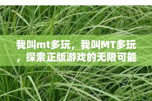 我叫mt多玩,我叫MT多玩,探索正版游戏的无限可能 我叫mt多玩,我叫MT多玩,探索正版游戏的无限可能