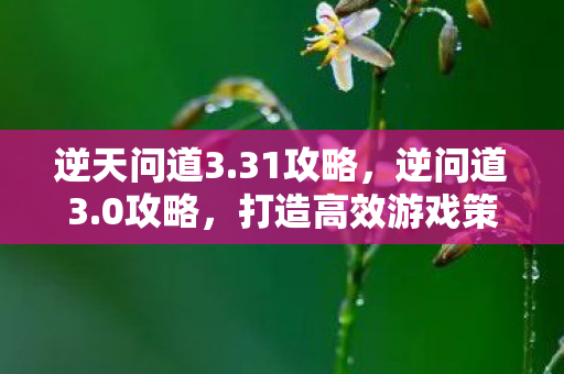 逆天问道3.31攻略,逆问道3.0攻略,打造高效游戏策略,助你突破瓶颈 逆天问道3.31攻略,逆问道3.0攻略,打造高效游戏策略,助你突破瓶颈