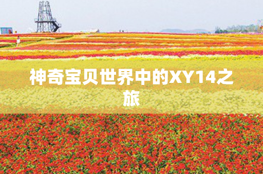 神奇宝贝世界中的XY14之旅 神奇宝贝世界中的XY14之旅