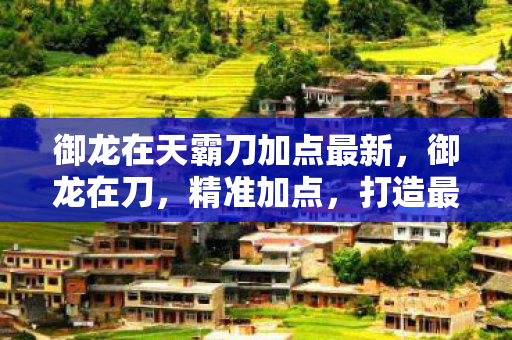 御龙在天霸刀加点最新,御龙在刀,精准加点,打造最强战力 御龙在天霸刀加点最新,御龙在刀,精准加点,打造最强战力