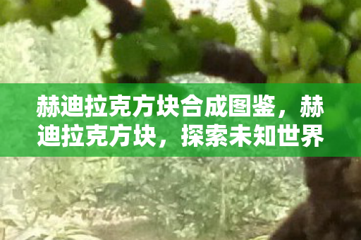 赫迪拉克方块合成图鉴，赫迪拉克方块，探索未知世界的神秘钥匙