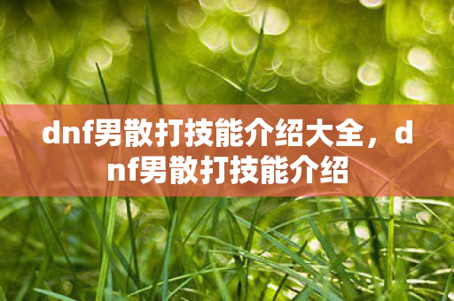 dnf男散打技能介绍大全,dnf男散打技能介绍 dnf男散打技能介绍大全,dnf男散打技能介绍