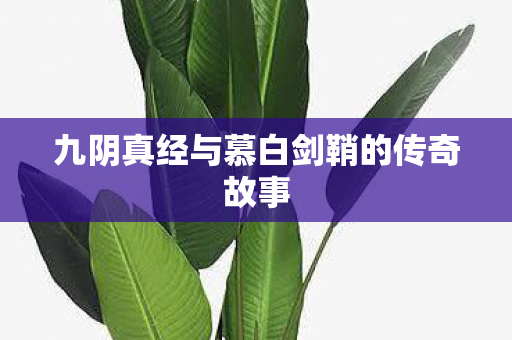 九阴真经与慕白剑鞘的传奇故事 九阴真经与慕白剑鞘的传奇故事