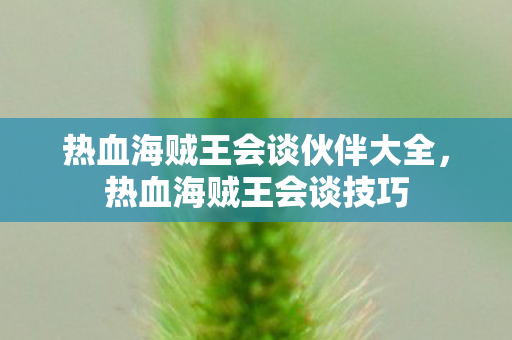 热血海贼王会谈伙伴大全,热血海贼王会谈技巧 热血海贼王会谈伙伴大全,热血海贼王会谈技巧