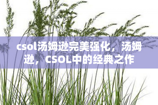 csol汤姆逊完美强化,汤姆逊,CSOL中的经典之作 csol汤姆逊完美强化,汤姆逊,CSOL中的经典之作