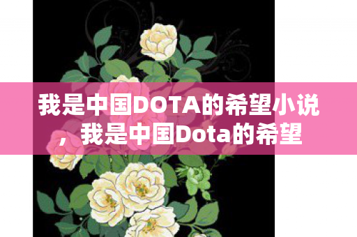 我是中国DOTA的希望小说,我是中国Dota的希望 我是中国DOTA的希望小说,我是中国Dota的希望