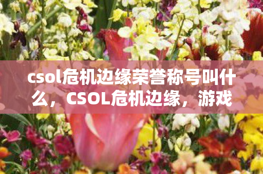 csol危机边缘荣誉称号叫什么,CSOL危机边缘,游戏平衡与玩家社区的博弈 csol危机边缘荣誉称号叫什么,CSOL危机边缘,游戏平衡与玩家社区的博弈