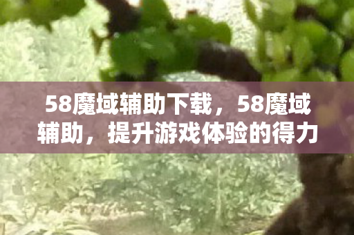 58魔域辅助下载,58魔域辅助,提升游戏体验的得力助手 58魔域辅助下载,58魔域辅助,提升游戏体验的得力助手