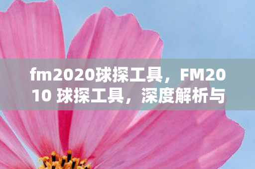 fm2020球探工具,FM2010 球探工具,深度解析与实战应用 fm2020球探工具,FM2010 球探工具,深度解析与实战应用