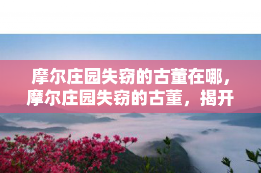 摩尔庄园失窃的古董在哪,摩尔庄园失窃的古董,揭开庄园背后的秘密 摩尔庄园失窃的古董在哪,摩尔庄园失窃的古董,揭开庄园背后的秘密