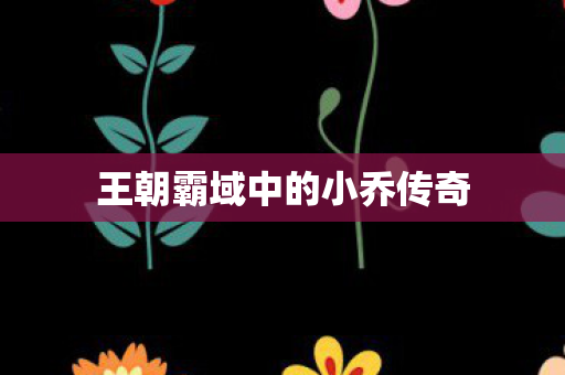 王朝霸域中的小乔传奇 王朝霸域中的小乔传奇