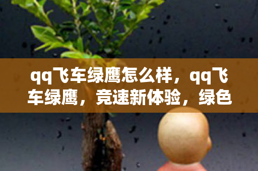 qq飞车绿鹰怎么样,qq飞车绿鹰,竞速新体验,绿色安全无担忧 qq飞车绿鹰怎么样,qq飞车绿鹰,竞速新体验,绿色安全无担忧