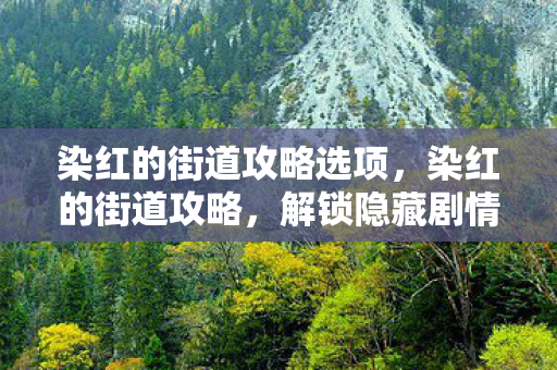 染红的街道攻略选项,染红的街道攻略,解锁隐藏剧情与角色互动 染红的街道攻略选项,染红的街道攻略,解锁隐藏剧情与角色互动