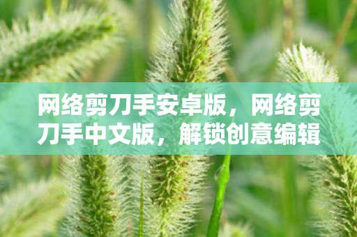 网络剪刀手安卓版,网络剪刀手中文版,解锁创意编辑新境界 网络剪刀手安卓版,网络剪刀手中文版,解锁创意编辑新境界