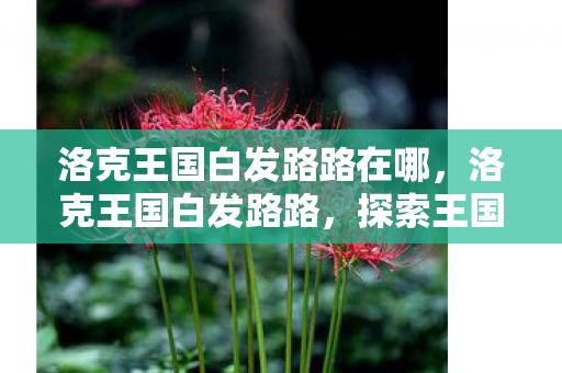 洛克王国白发路路在哪,洛克王国白发路路,探索王国中的神秘旅者 洛克王国白发路路在哪,洛克王国白发路路,探索王国中的神秘旅者