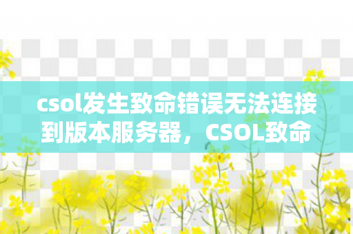 csol发生致命错误无法连接到版本服务器，CSOL致命错误，游戏稳定性与玩家体验的挑战