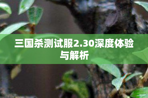 三国杀测试服2.30深度体验与解析 三国杀测试服2.30深度体验与解析