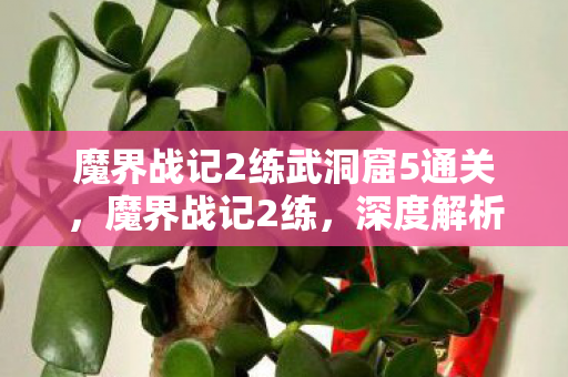 魔界战记2练武洞窟5通关，魔界战记2练，深度解析角色成长与战术策略