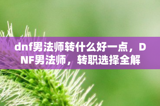 dnf男法师转什么好一点,DNF男法师,转职选择全解析 dnf男法师转什么好一点,DNF男法师,转职选择全解析