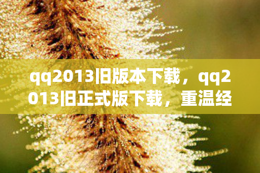 qq2013旧版本下载，qq2013旧正式版下载，重温经典，回忆杀！
