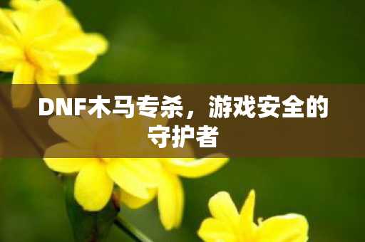 DNF木马专杀,游戏安全的守护者 DNF木马专杀,游戏安全的守护者