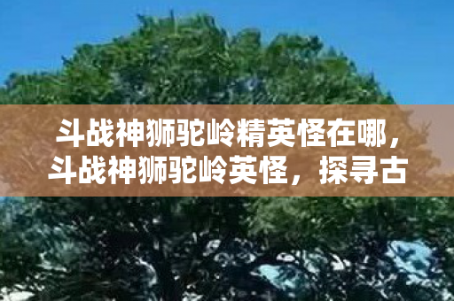 斗战神狮驼岭精英怪在哪,斗战神狮驼岭英怪,探寻古老传说中的神秘生物 斗战神狮驼岭精英怪在哪,斗战神狮驼岭英怪,探寻古老传说中的神秘生物