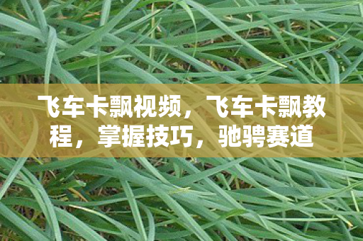 飞车卡飘视频,飞车卡飘教程,掌握技巧,驰骋赛道 飞车卡飘视频,飞车卡飘教程,掌握技巧,驰骋赛道