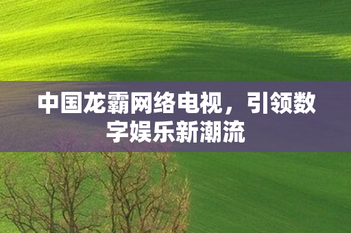 中国龙霸网络电视,引领数字娱乐新潮流 中国龙霸网络电视,引领数字娱乐新潮流