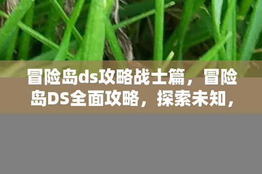 冒险岛ds攻略战士篇，冒险岛DS全面攻略，探索未知，挑战极限