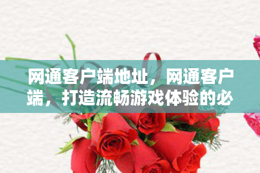 网通客户端地址,网通客户端,打造流畅游戏体验的必备利器 网通客户端地址,网通客户端,打造流畅游戏体验的必备利器