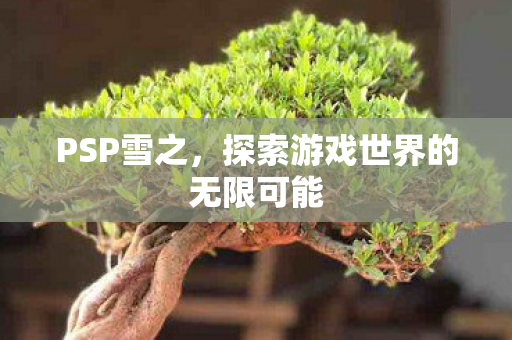 PSP雪之,探索游戏世界的无限可能 PSP雪之,探索游戏世界的无限可能