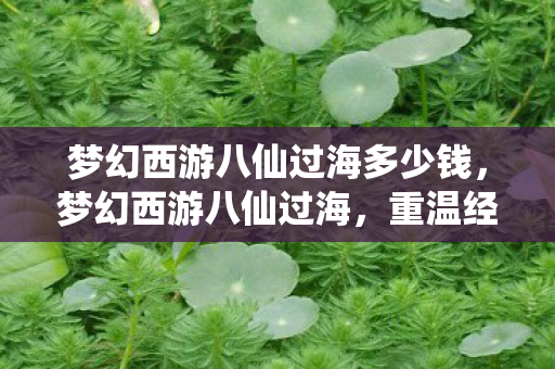 梦幻西游八仙过海多少钱,梦幻西游八仙过海,重温经典,探索未知 梦幻西游八仙过海多少钱,梦幻西游八仙过海,重温经典,探索未知